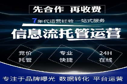 汽车行业SEM服务营销策略及效果展示